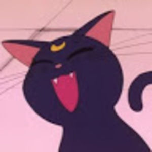 Meet your Posher, Kittys